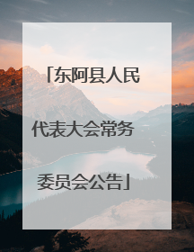 东阿县人民代表大会常务委员会公告